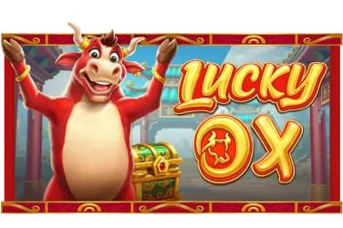 70bet2